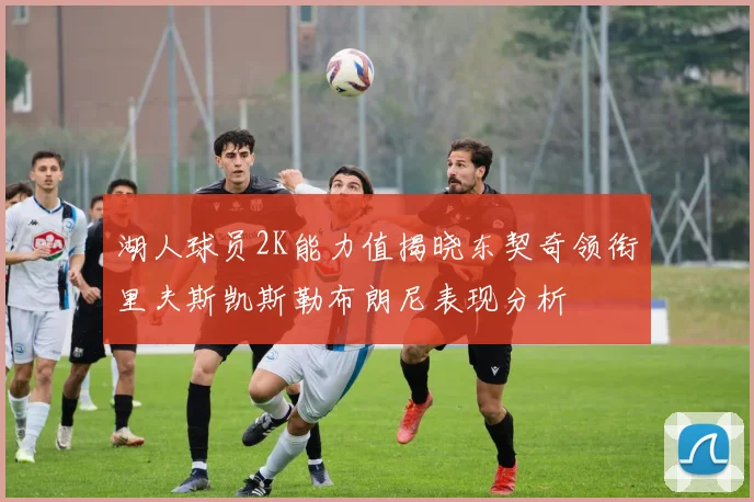 湖人球员2K能力值揭晓东契奇领衔里夫斯凯斯勒布朗尼表现分析