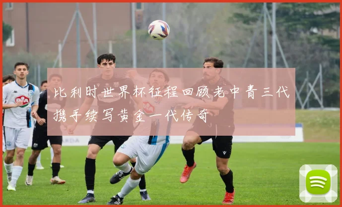 比利时世界杯征程回顾老中青三代携手续写黄金一代传奇