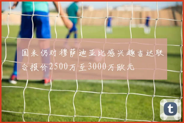 国米仍对穆萨迪亚比感兴趣吉达联合报价2500万至3000万欧元